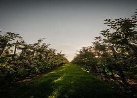 Getaway With Garden in Gelderland