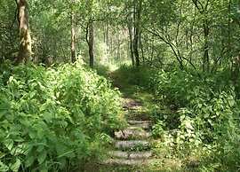 Getaway With Garden in Gelderland