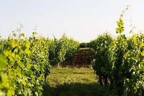 Camiran Escape: Wine & Calm
