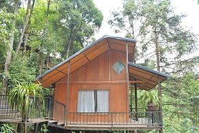 Sapa Jungle