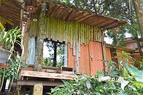 Sapa Jungle