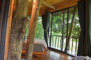 Sapa Jungle