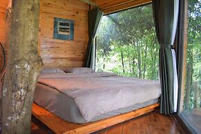 Sapa Jungle