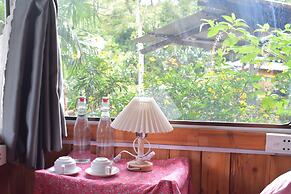 Sapa Jungle
