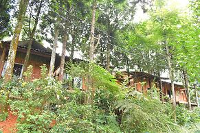 Sapa Jungle