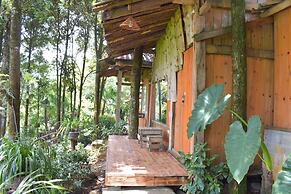 Sapa Jungle