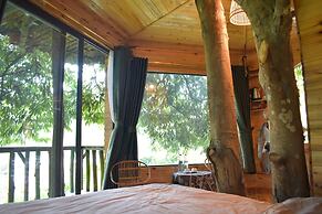 Sapa Jungle