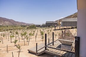 Oeno Wine Lodge