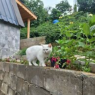 Sarp bungalov