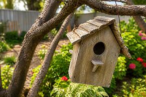 Relax and Unwind at Otters Retreat