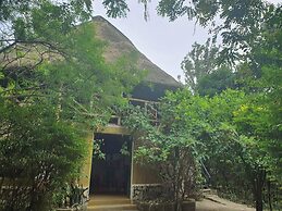 Pumba Safari Cottages