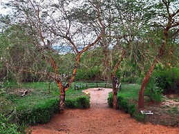 Hornbill Bush Lodge
