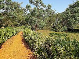Hornbill Bush Lodge