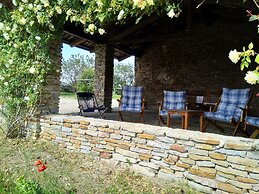 The Grape Pergola House