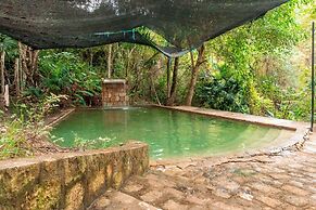 Selva Serena
