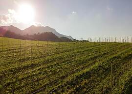 Relaxing Countryside Stay