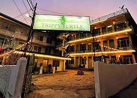 Goroomgo Trippy Turtle Manali