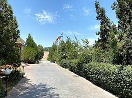 Qibla Tozabog