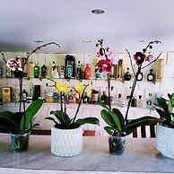 Hotel Tamarindos