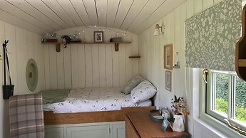 Cosy Devon Hut Woodland Views