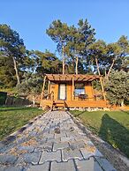 TİNY MİNİ HOUSE