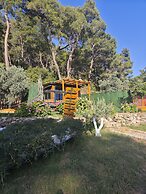 TİNY MİNİ HOUSE