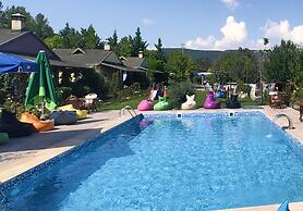 ALMUS ŞEHRİ SEFA BUNGALOV EVLERİ