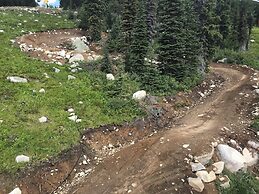 Vista at Big White Amazing Location View