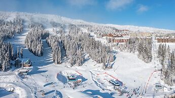 Vista at Big White Amazing Location View