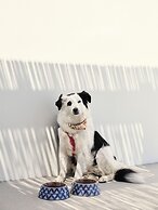 Mosaic Villas