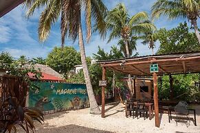 Mapache Hostel