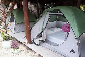 Mapache Hostel