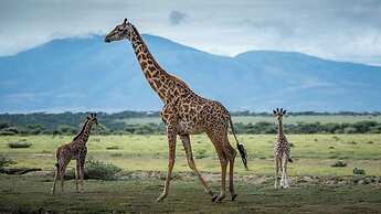 Voyage Camp Safari Lodge