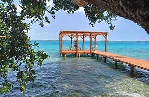ZENSUS LAGUNA