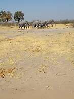 Kayubo Campsite