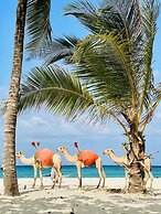 Diani Beachfront Paradise
