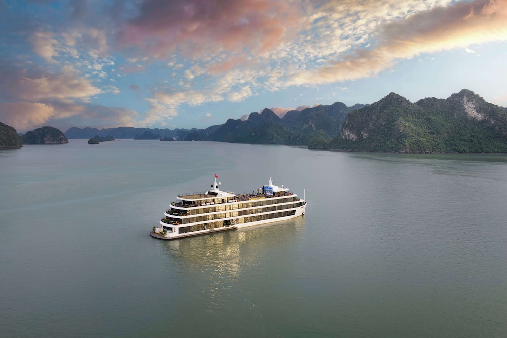 L'amour Cruise