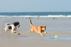 Beautiful 5 Bedroom Regency House / Pets Welcome