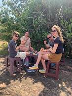 Elephant Safari Lodge