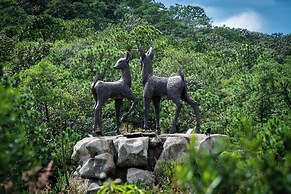 Roca Venados