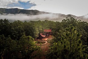 Roca Venados