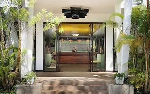 The Calm Oasis