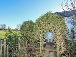 Oscar's Pad