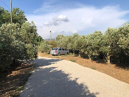 Defne Olive Gardens Hotel Fethiye