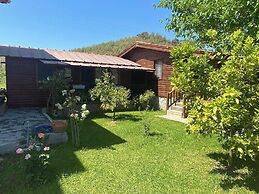 Defne Olive Gardens Hotel Fethiye