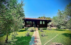 Defne Olive Gardens Hotel Fethiye