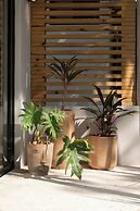 BT Homes - Wellness Jungle