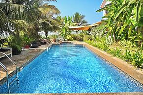 Dragonfly Goa