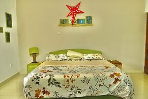 Dragonfly Goa