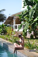 Dragonfly Goa